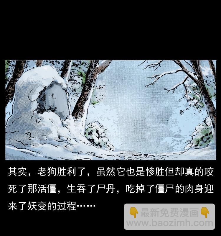 049 刨尸狗传奇277