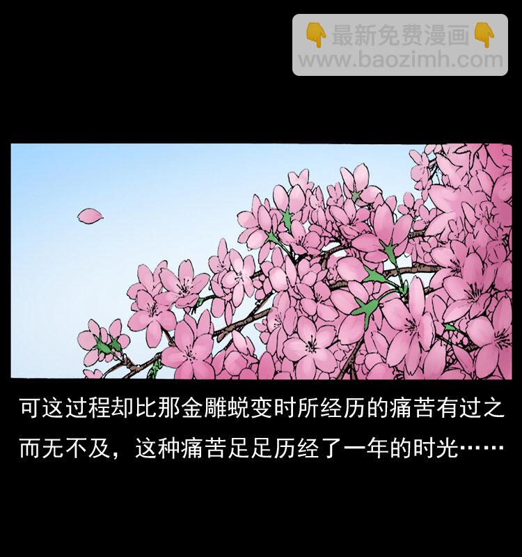 049 刨尸狗传奇278