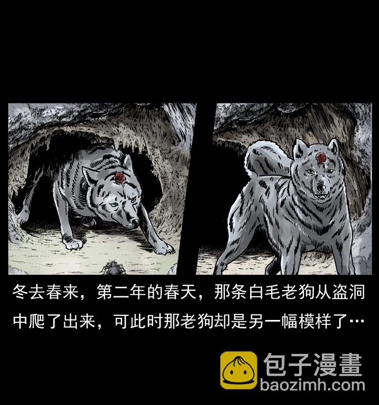 049 刨尸狗传奇279