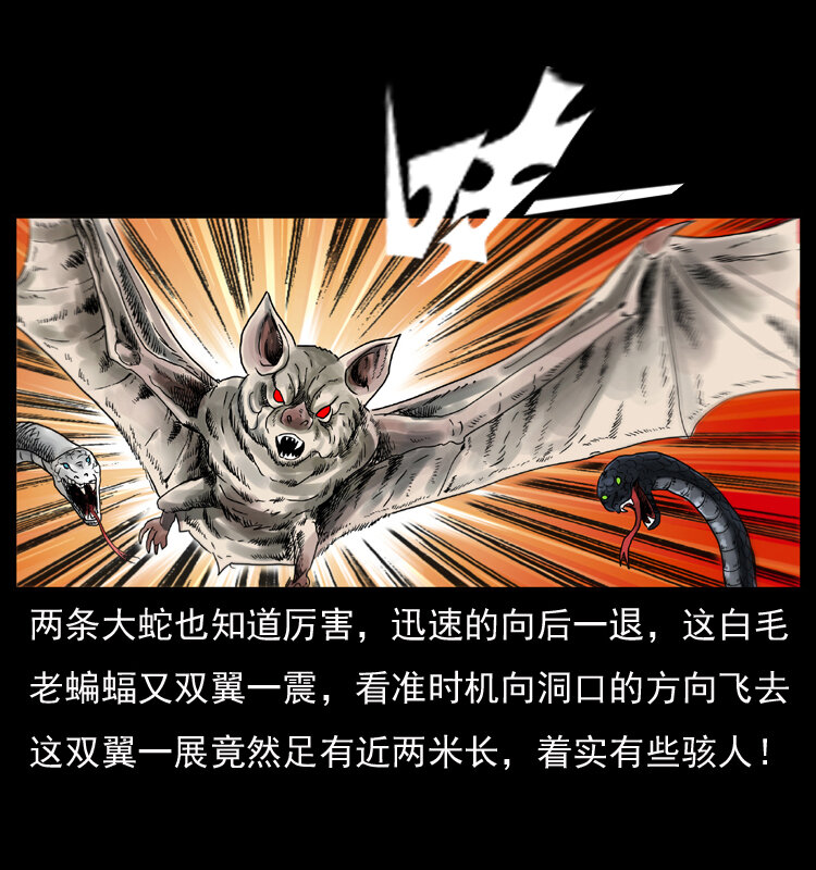 049 刨尸狗传奇28