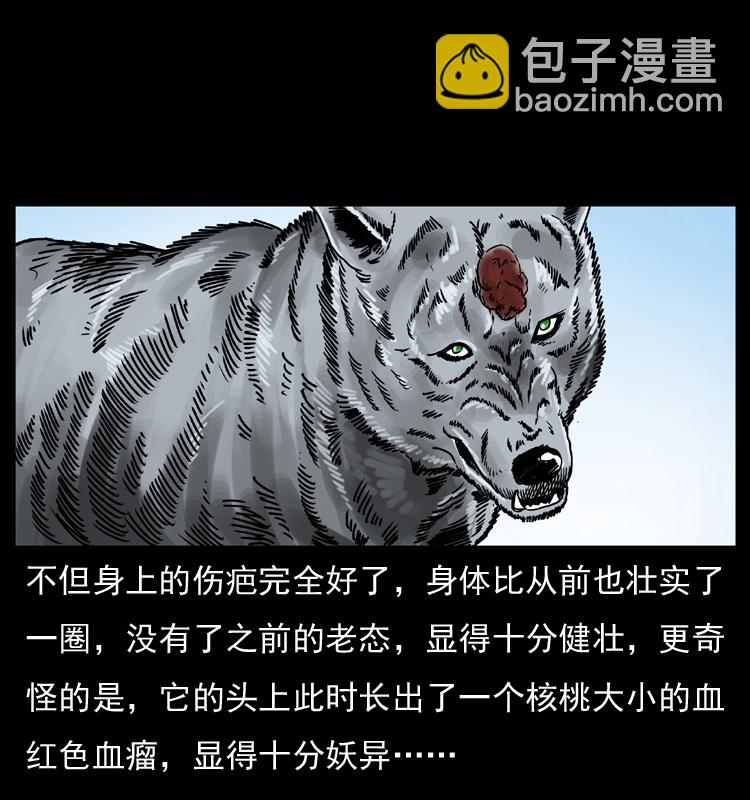 049 刨尸狗传奇280