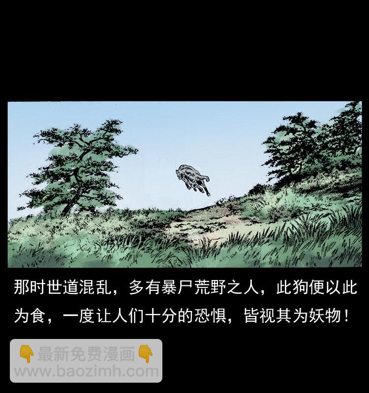 049 刨尸狗传奇282