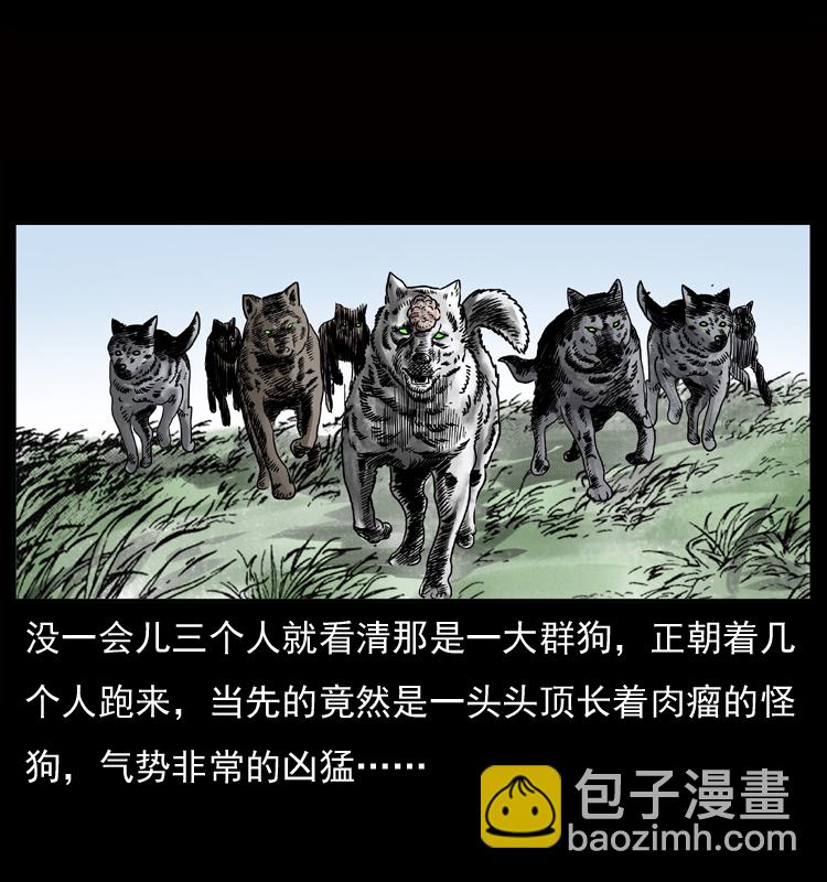 050 刨尸狗传奇329