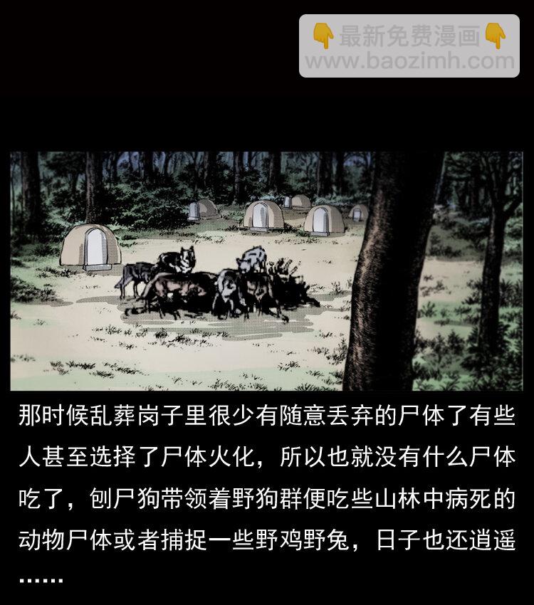 050 刨尸狗传奇33