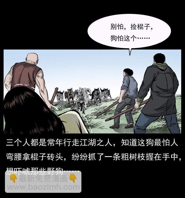 050 刨尸狗传奇330