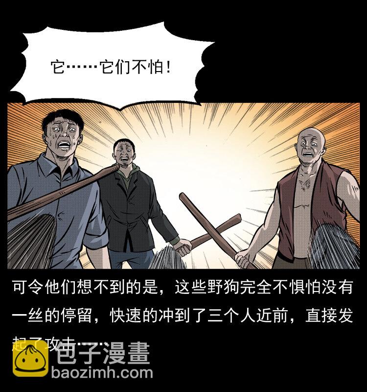 050 刨尸狗传奇331