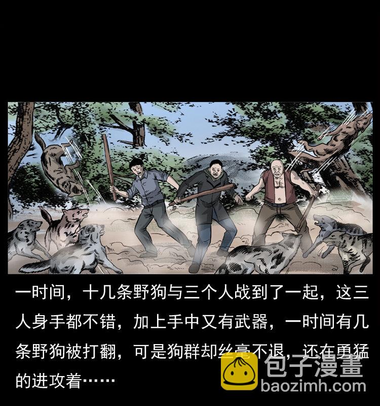 050 刨尸狗传奇333