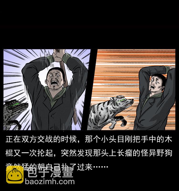 050 刨尸狗传奇334