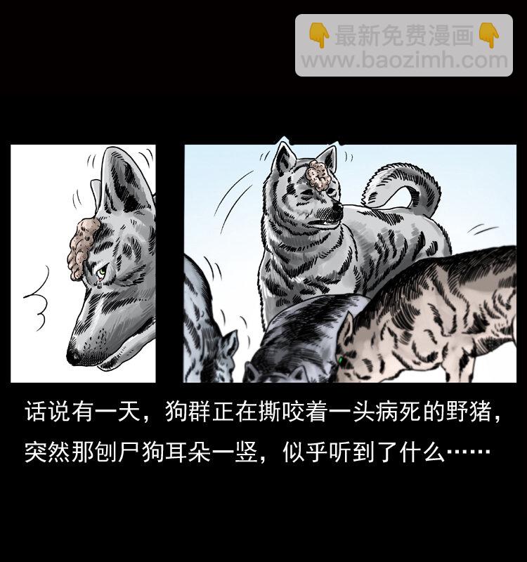 050 刨尸狗传奇34