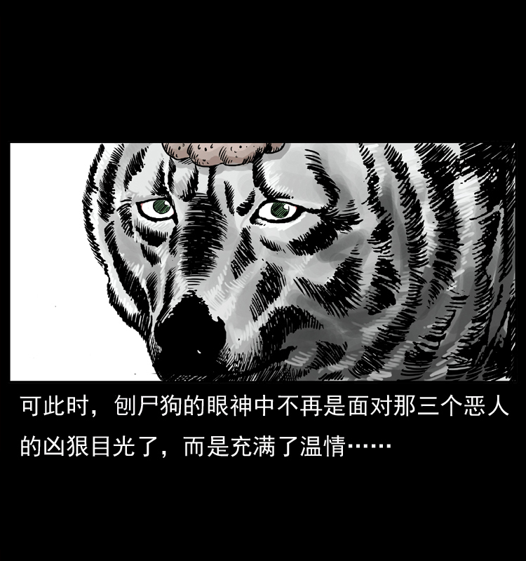 050 刨尸狗传奇341