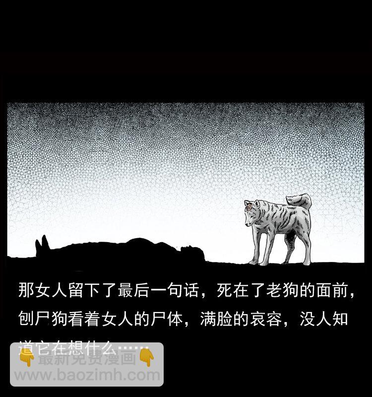 050 刨尸狗传奇346