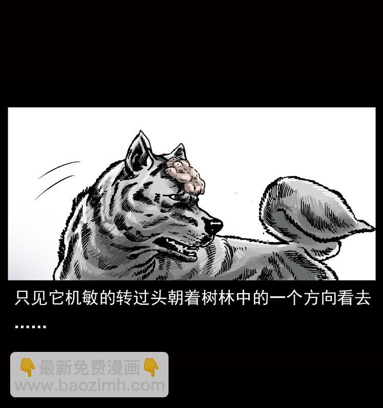 050 刨尸狗传奇35