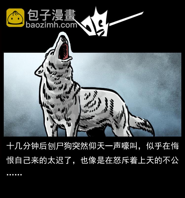 050 刨尸狗传奇351