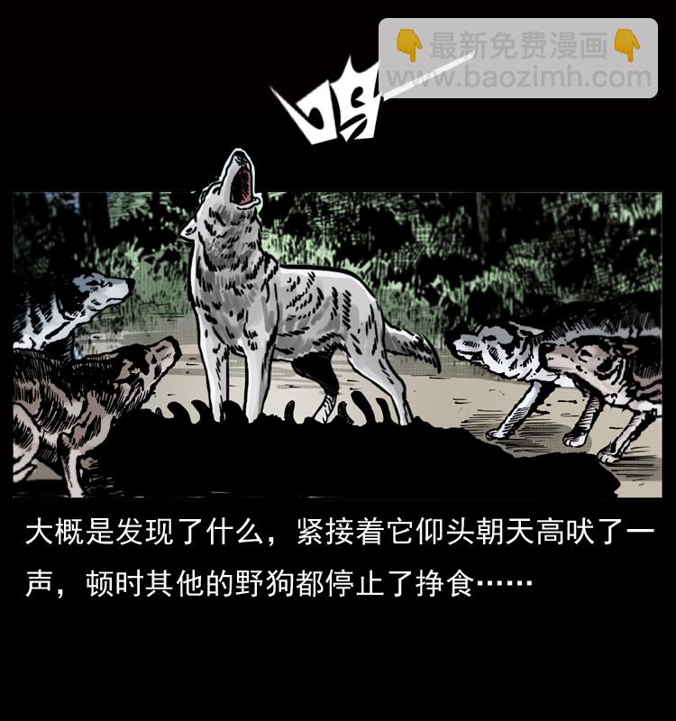 050 刨尸狗传奇36