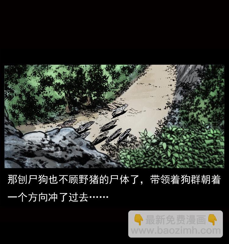 050 刨尸狗传奇37