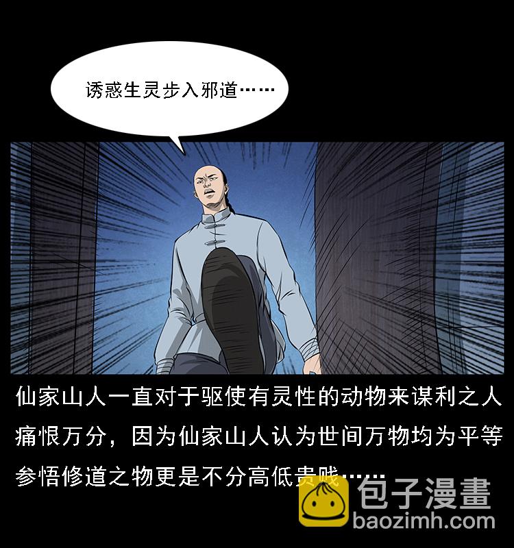 064 役兽妖人17