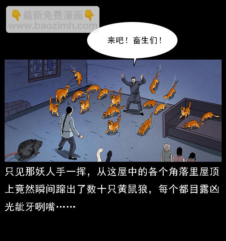 064 役兽妖人26