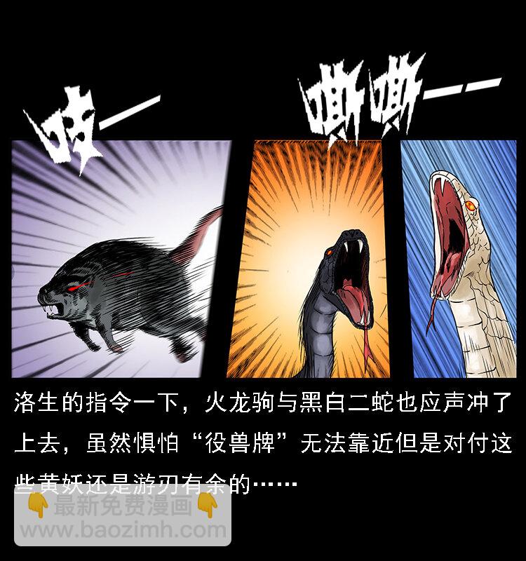 064 役兽妖人29