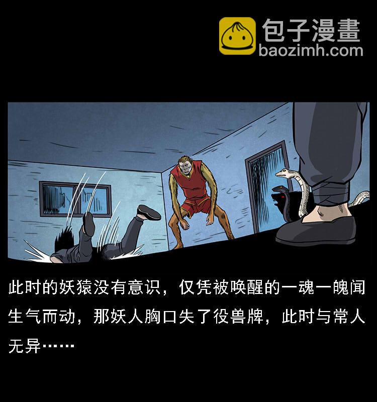 064 役兽妖人68