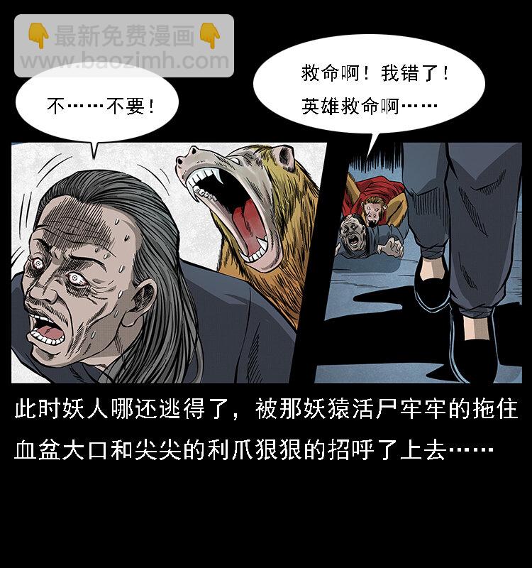 064 役兽妖人71