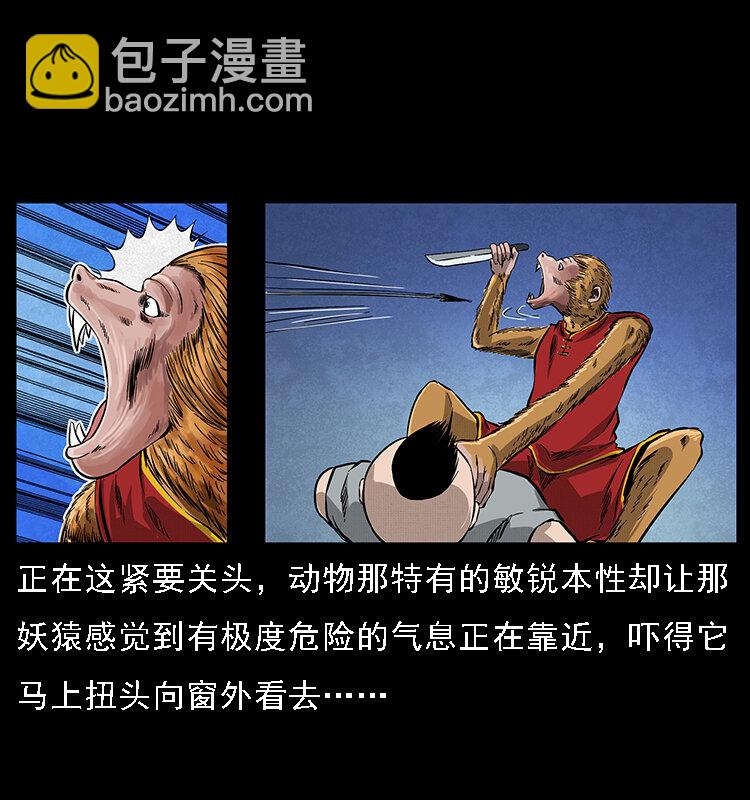 064 役兽妖人9
