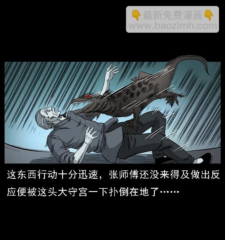 076 守宫19