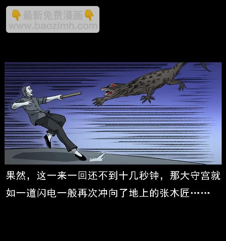 076 守宫23