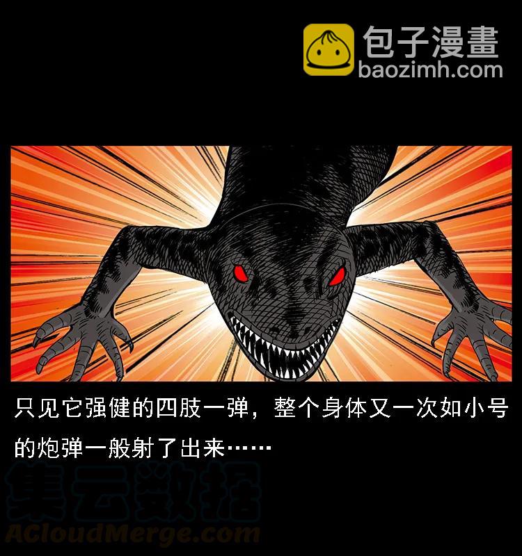 076 守宫27
