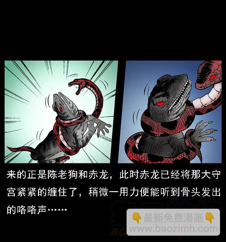 076 守宫33