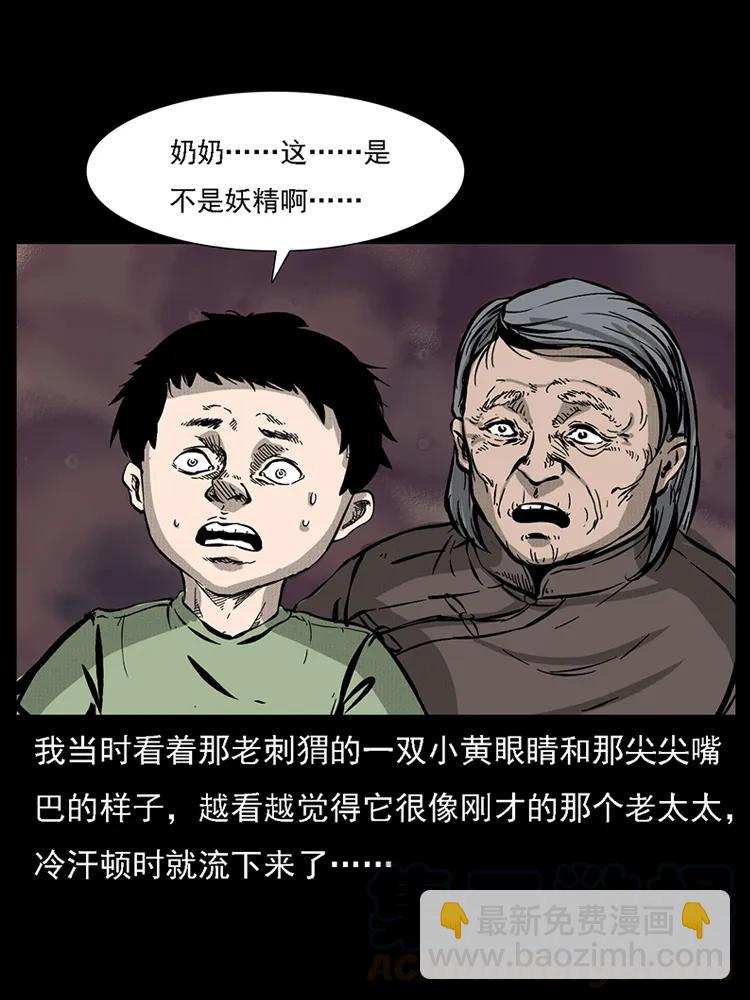 番外2 之保家白仙32
