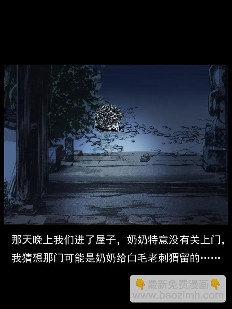 番外2 之保家白仙38