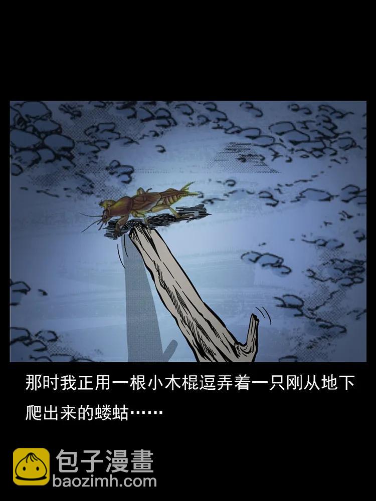 番外2 之保家白仙45