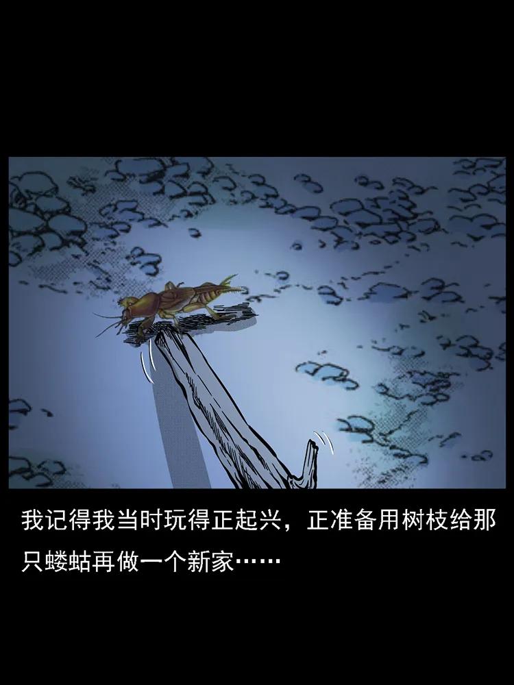 番外2 之保家白仙47