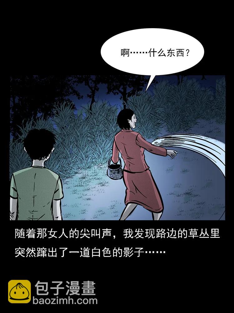 番外2 之保家白仙66