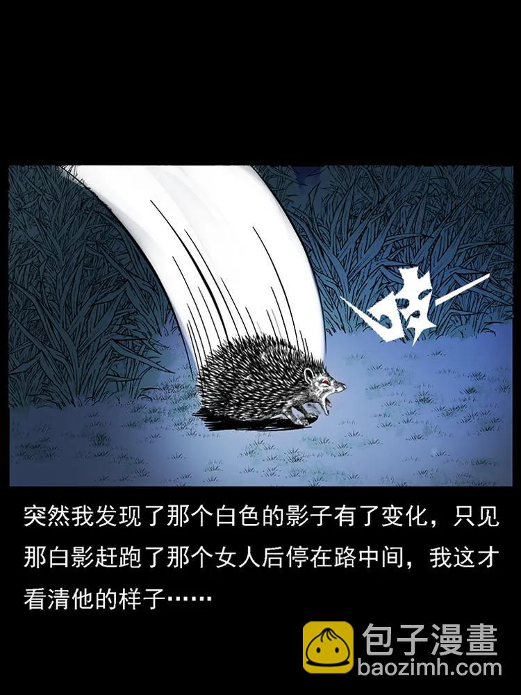 番外2 之保家白仙74
