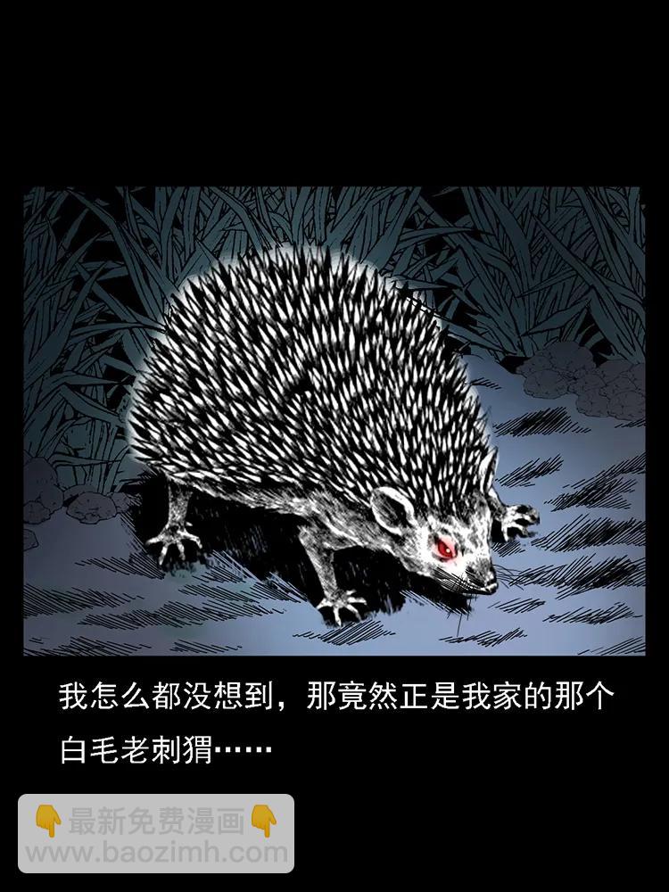 番外2 之保家白仙75