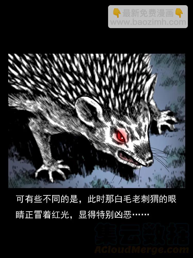番外2 之保家白仙76