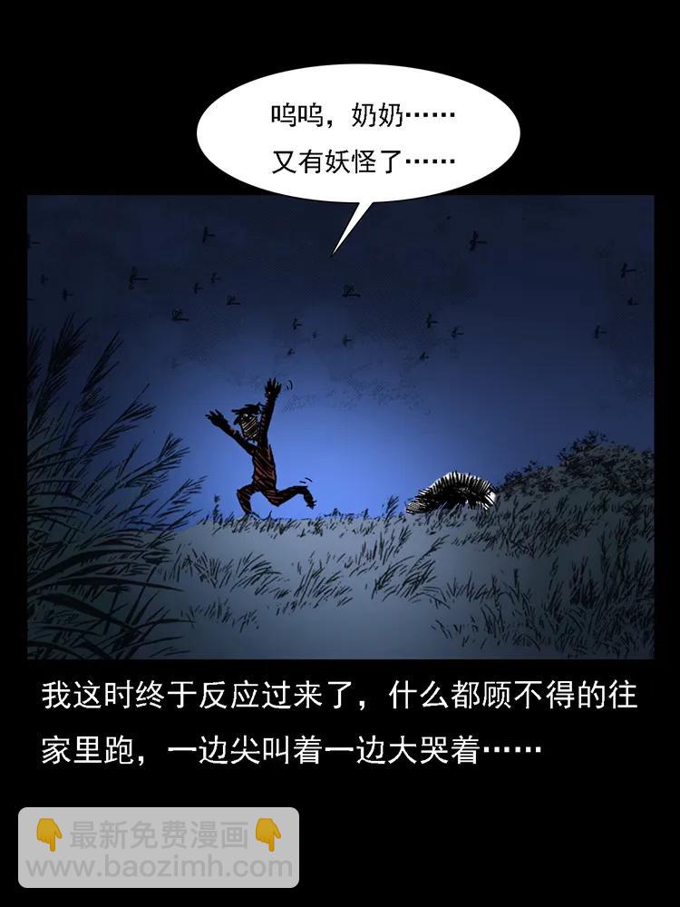 番外2 之保家白仙77