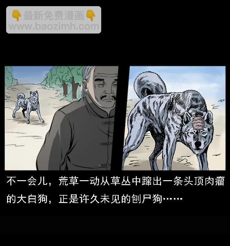 082 鬼桃树10