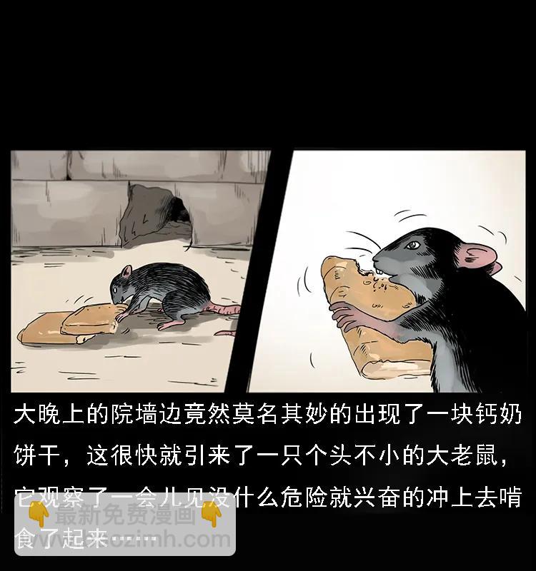 082 鬼桃树2