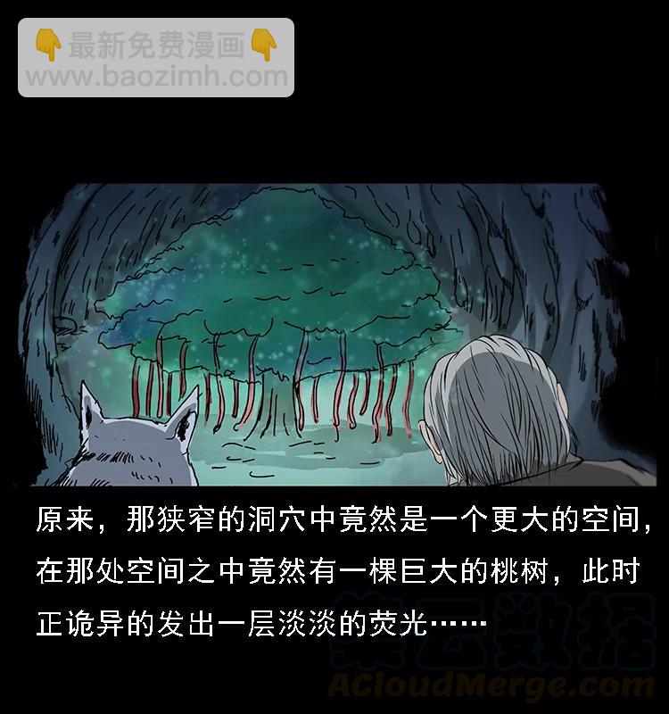 082 鬼桃树24