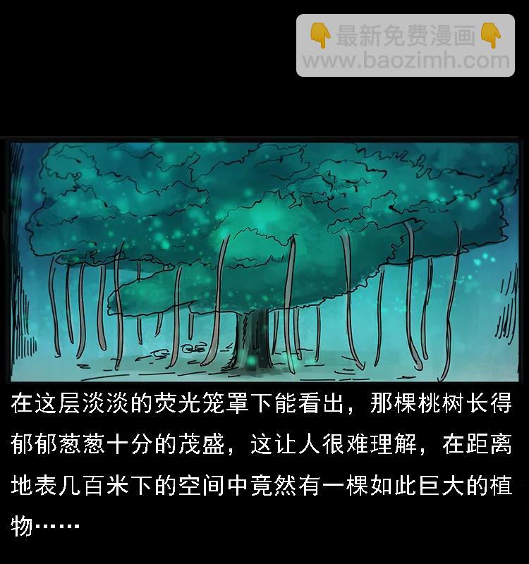 082 鬼桃树25