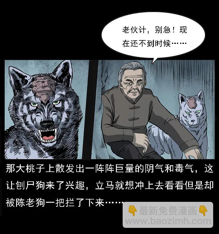 082 鬼桃树27