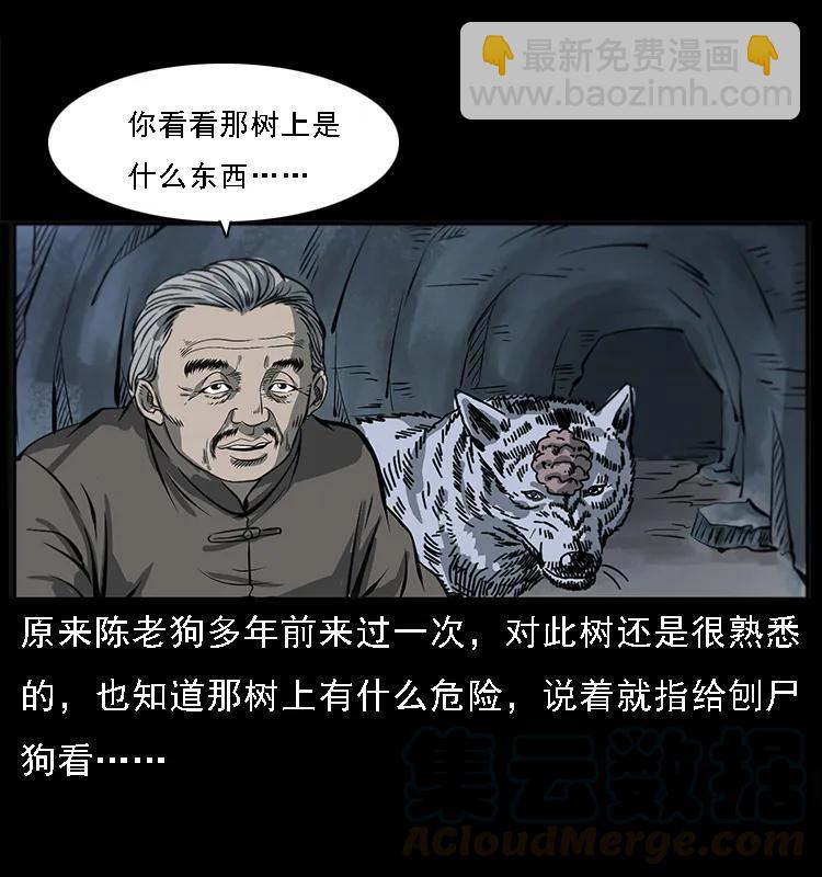 082 鬼桃树28