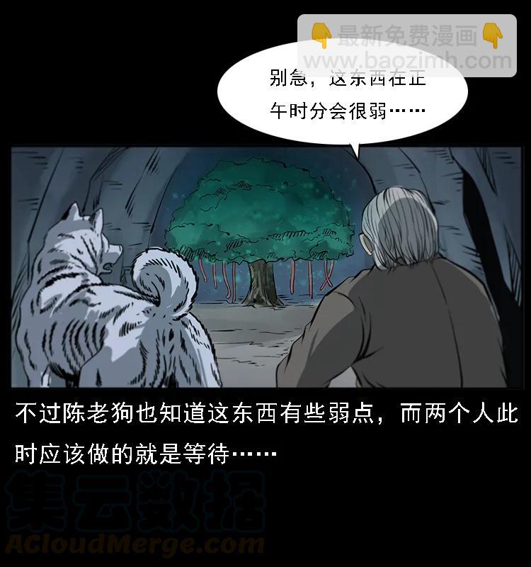 082 鬼桃树32