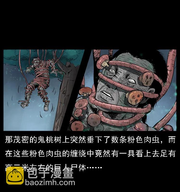 082 鬼桃树37