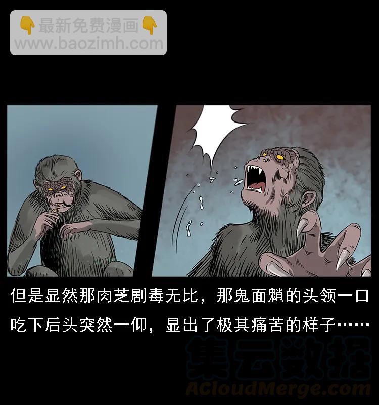 082 鬼桃树40