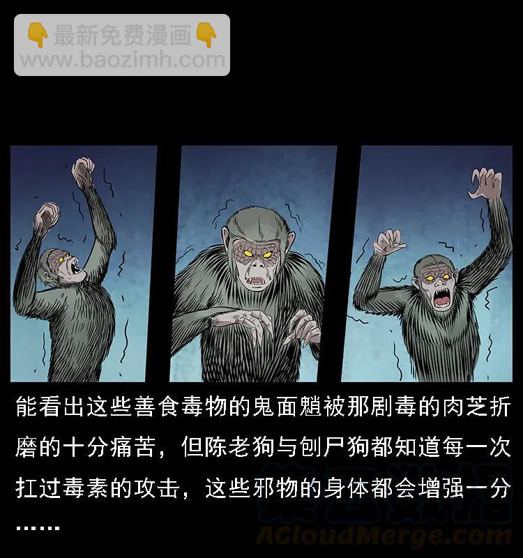 082 鬼桃树44