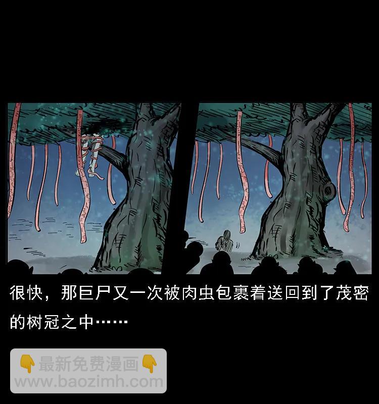 082 鬼桃树46