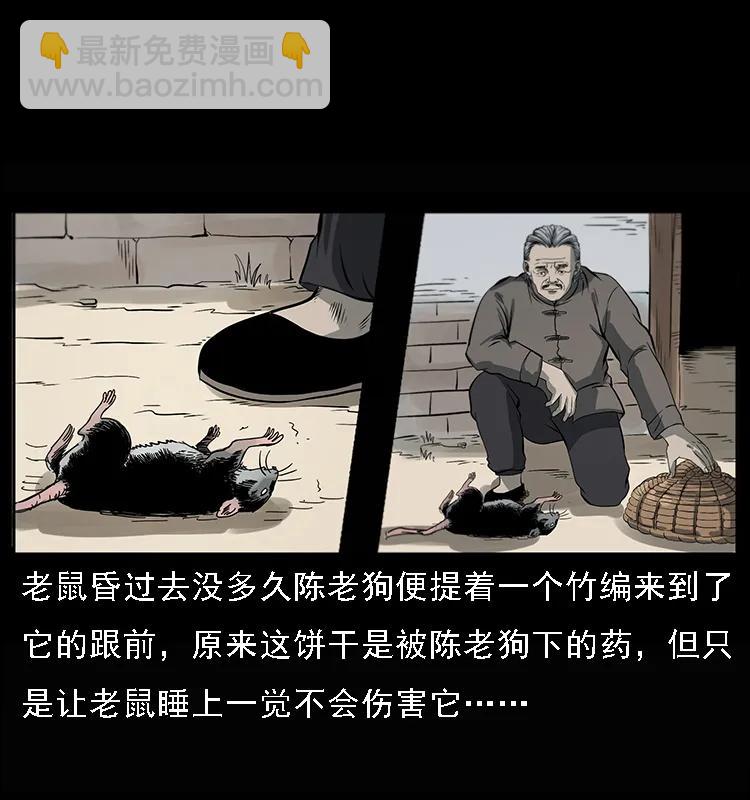 082 鬼桃树5